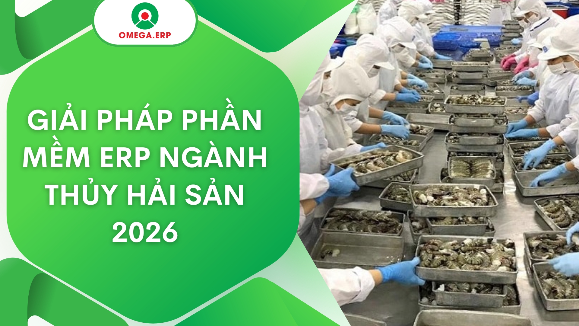 Giải pháp ERP ngành thủy hải sản
