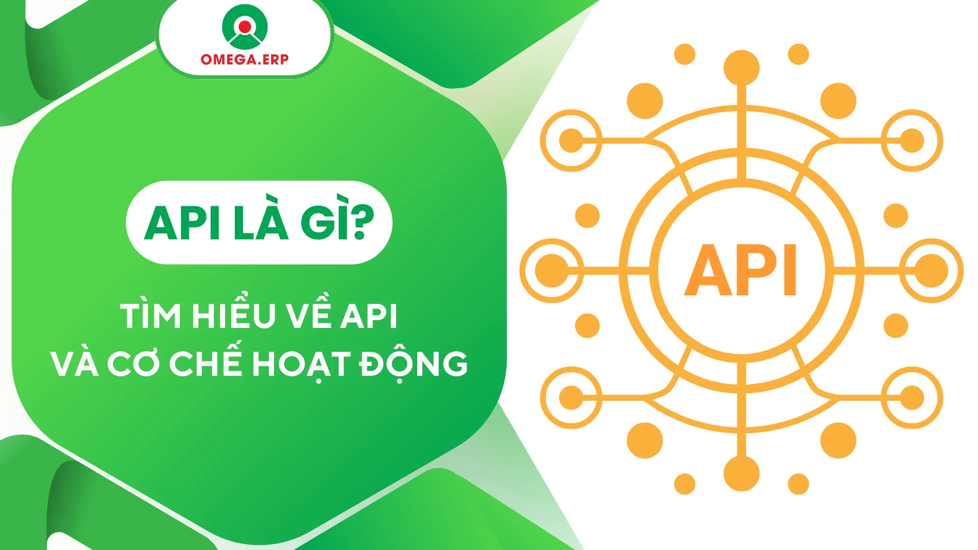 API là gì? Kiến thức cơ bản và Cơ chế hoạt động của API