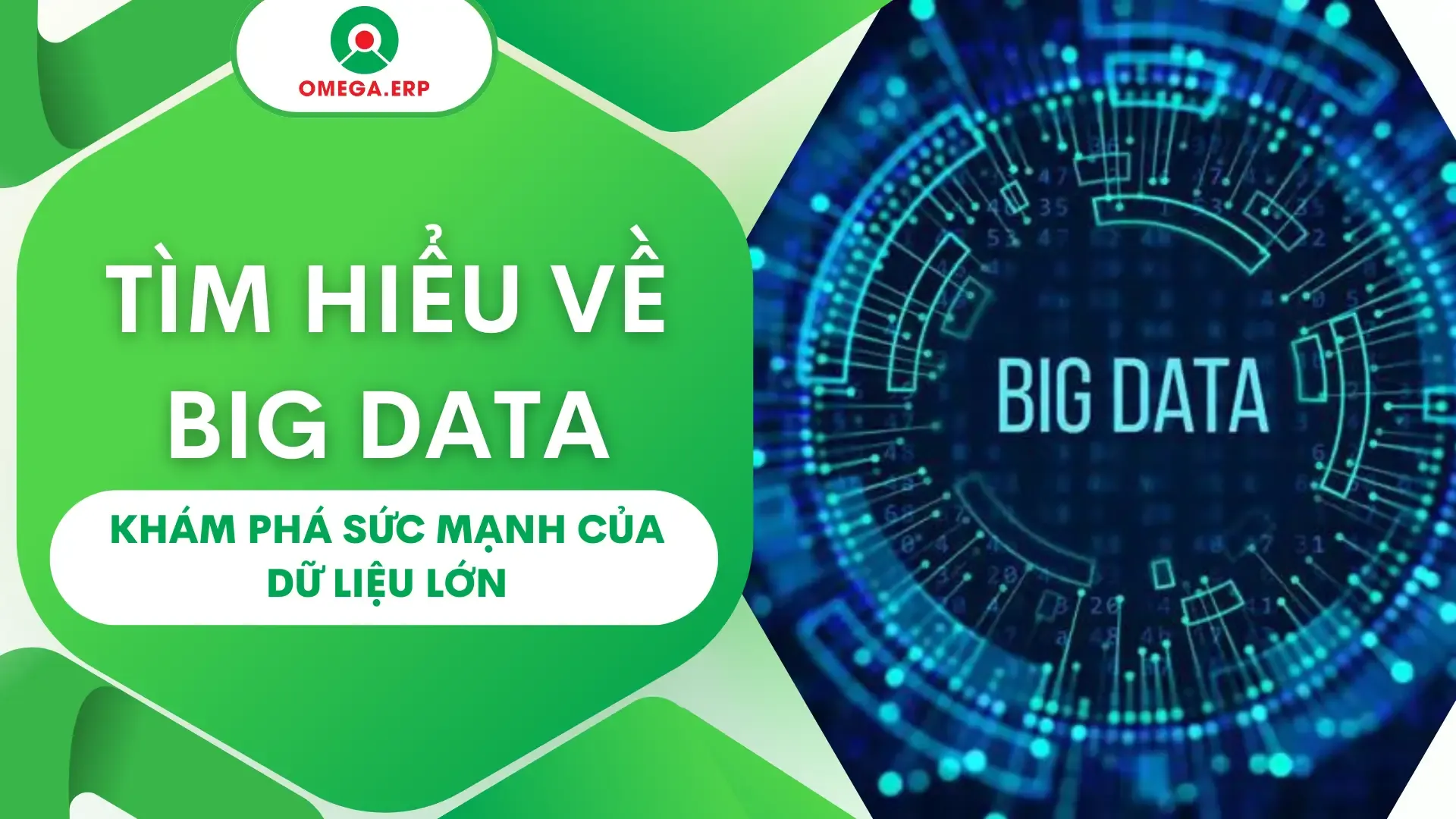Big Data là gì? Khám phá sức mạnh của dữ liệu lớn 2024