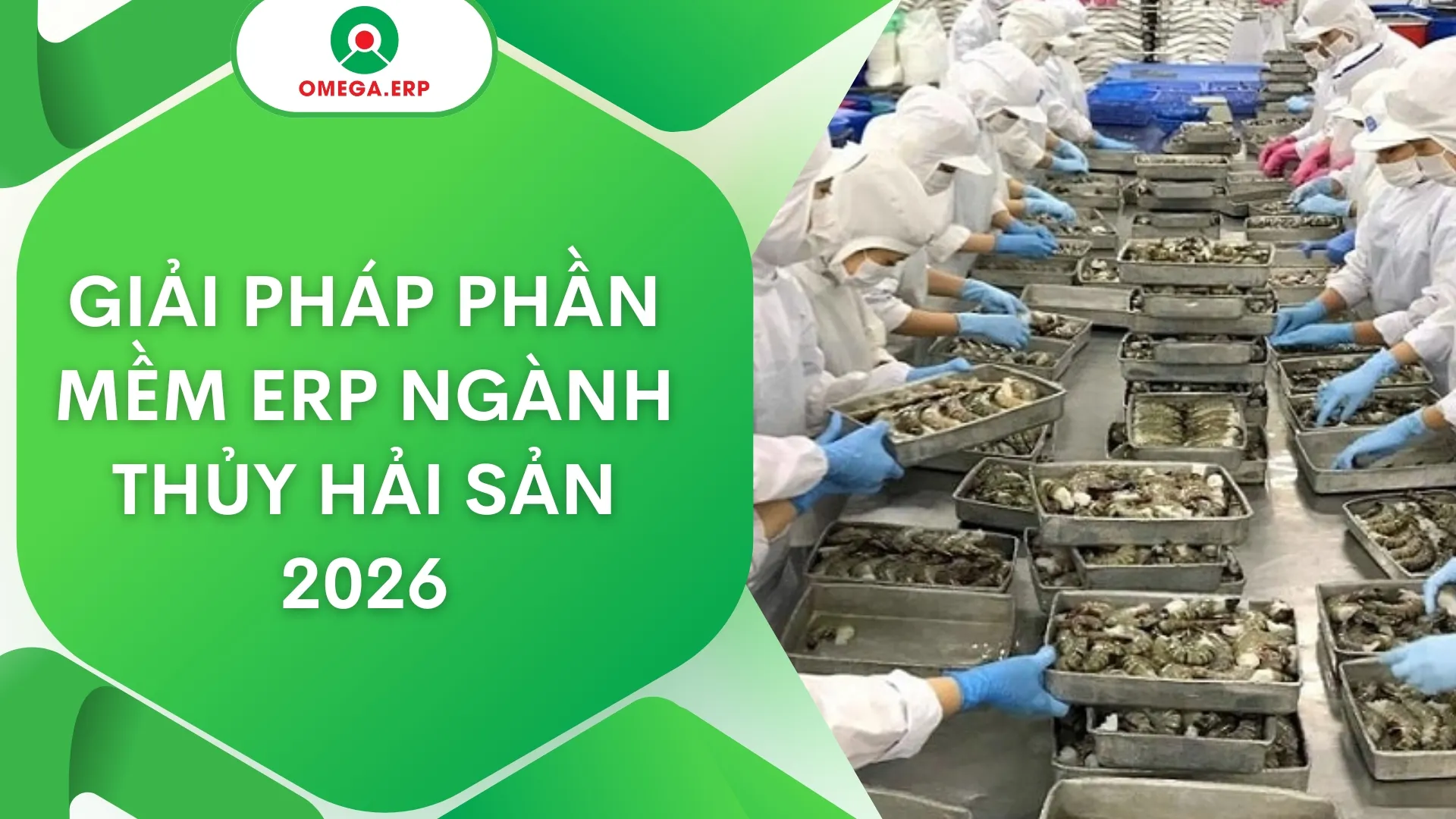 Giải pháp phần mềm ERP ngành thủy hải sản 2026