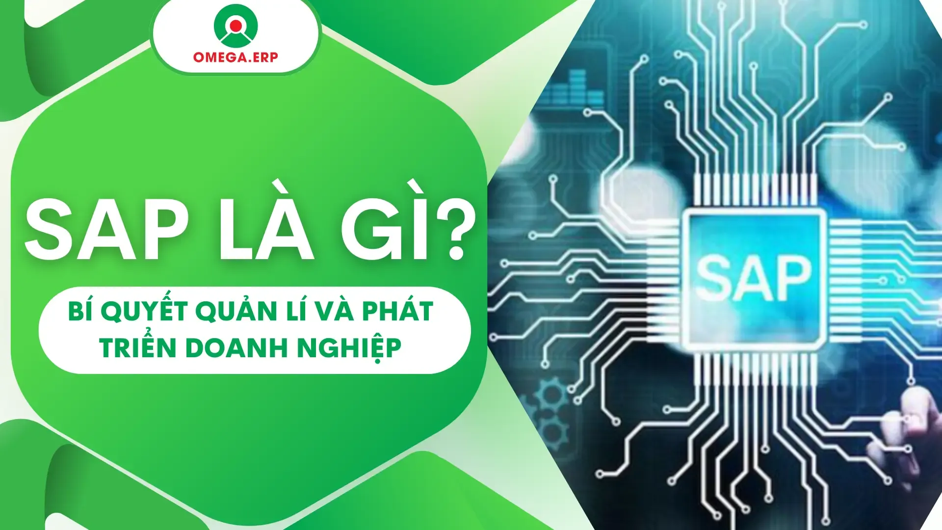 SAP: Bí quyết quản lí và phát triển doanh nghiệp 2024