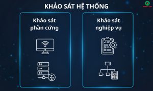 đội ngũ tư vấn triển khai erp khảo sát hệ thống trước khi thiết lập giải pháp cho doanh nghiệp