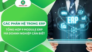 phân hệ trong erp