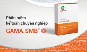 5 lợi ích "vàng" của phần mềm kế toán cho doanh nghiệp vừa và nhỏ 30 Phần mềm kế toán chuyên nghiệp GAMA.SMB