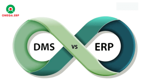 phần mèm ERP và phần mềm DMS