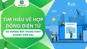 hợp đồng điện tử 8