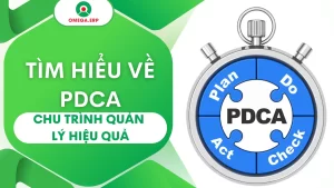 pdca 11