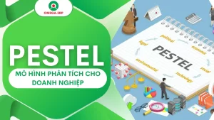 pestel 6