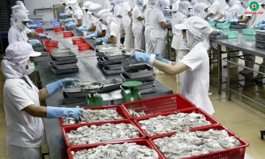 So sánh Thông tư 99/2025/TT-BTC và Thông tư 200/2014/TT-BTC về hệ thống tài khoản kế toán 22 phần mềm erp ngành chế biến thủy sản